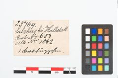 Etikett zu Bronzeknöpfchen (NHMW-PRAE-025769)